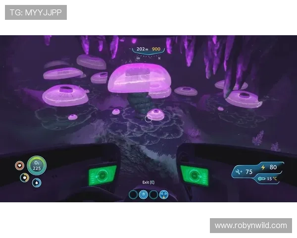 爱游戏线上官网最新版本,全面升级带你畅享极致游戏体验