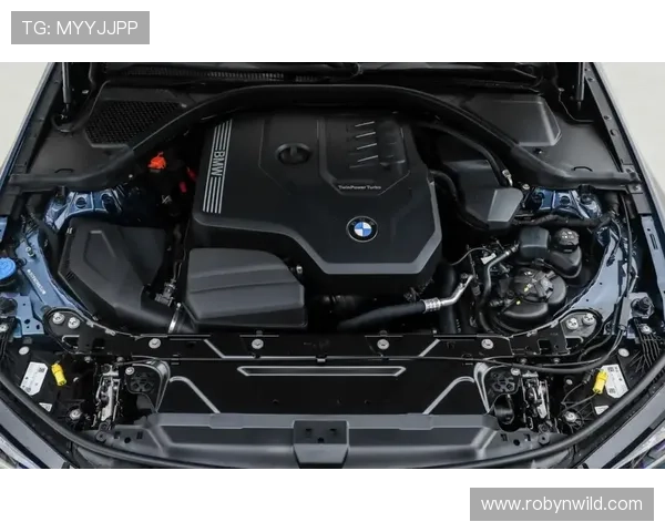 奔驰宝马游戏官网官方新闻资讯每日更新，掌握豪车行业最新热点与发展趋势