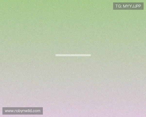 挪威对阵塞内加尔比赛数据统计全面解读分析世界杯关键表现分析
